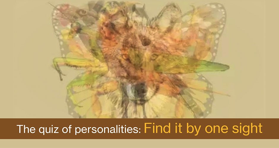The quiz of personalities:  Find it by first sight~